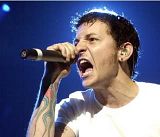 Chester.jpg image by koby_deck